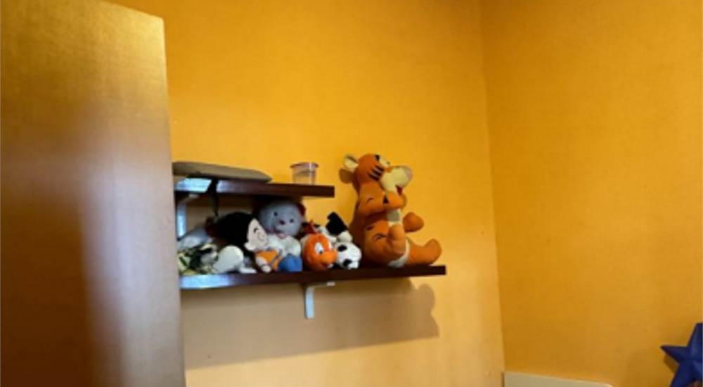 Photo 6
