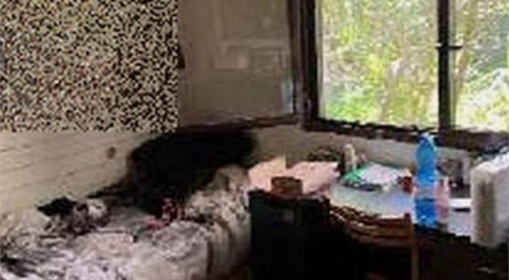 Photo 4
