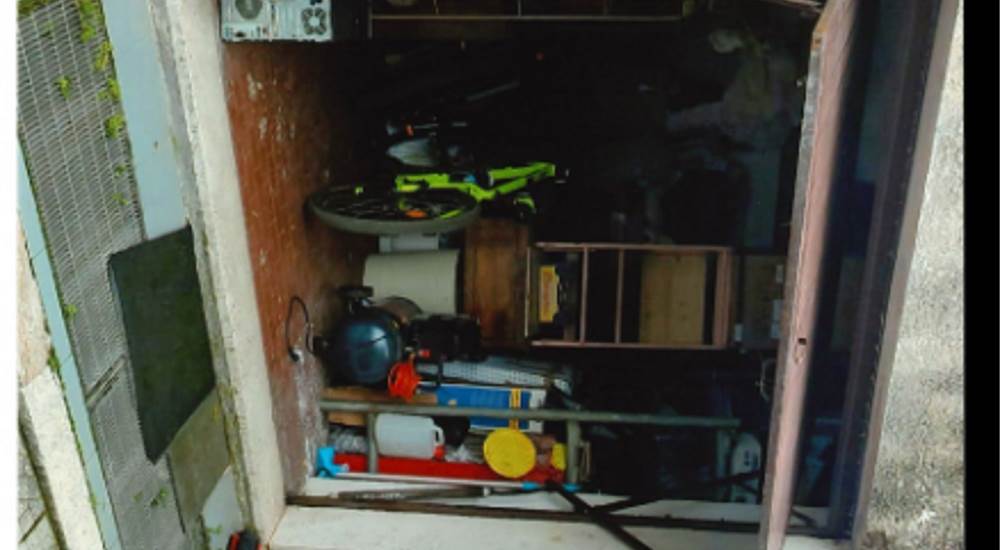 Photo 5