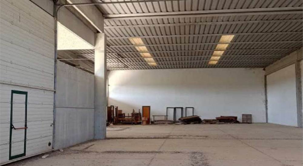 Photo 6