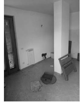 Foto1