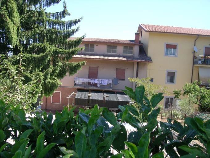 Foto1