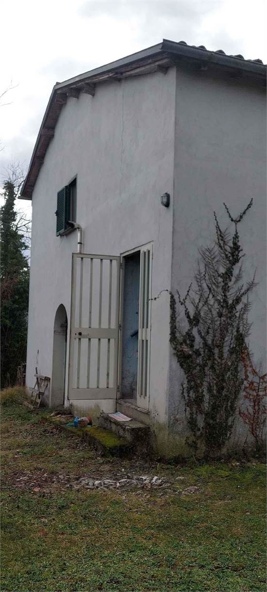Foto1
