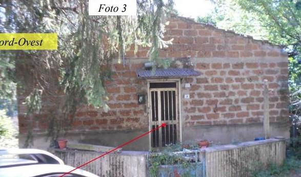 Foto1